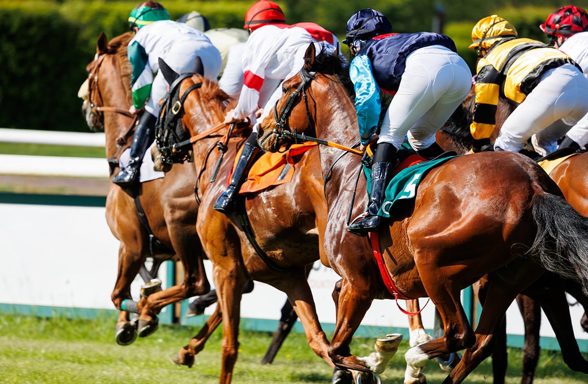 Horse Racing Is Losing Casual Bettors — And the Algorithms May Be to Blame